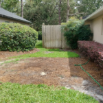 Ways to get rid of bare spots on St. Augustine lawns