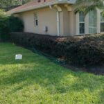 Ways to makea lush green St. Augustine grass lawn
