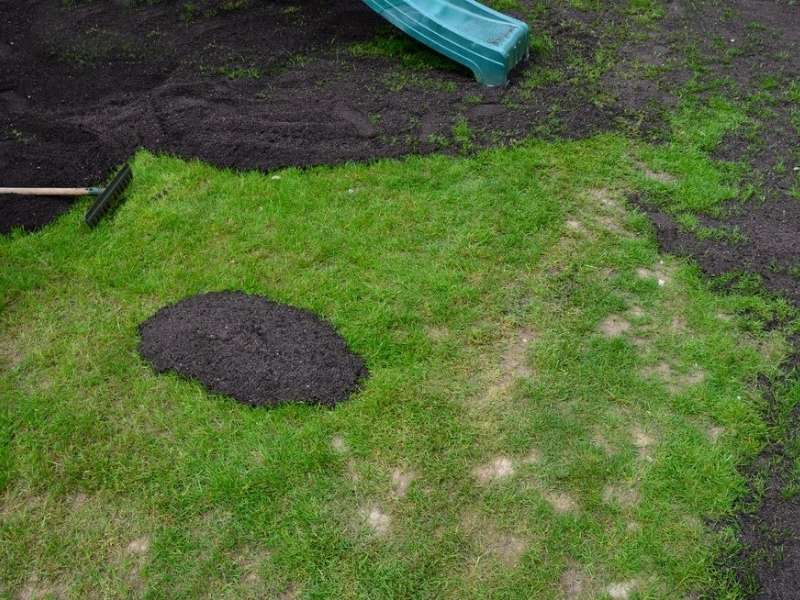 Best top dressing for lawns