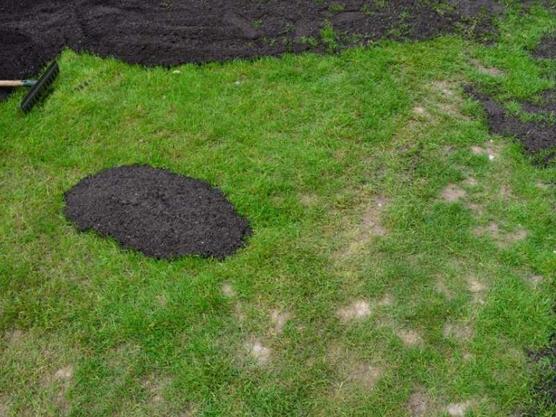 Top dressing a lawn with compost