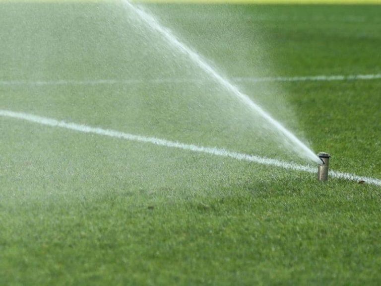 Should You Water Grass After Mowing?