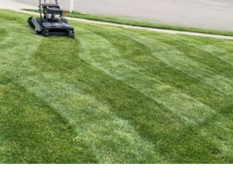 How to Mow a Buffalo Grass Lawn