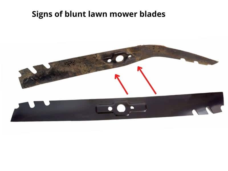 Signs of blunt lawn mower blades