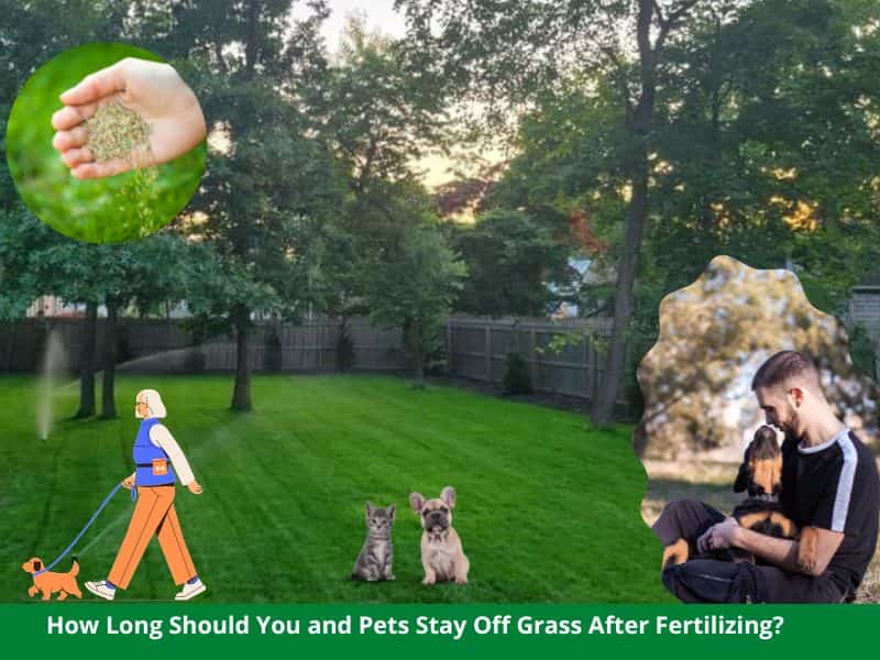 How Long Should You Stay Off Grass After Fertilizing? Can you walk on grass after fertilizing?