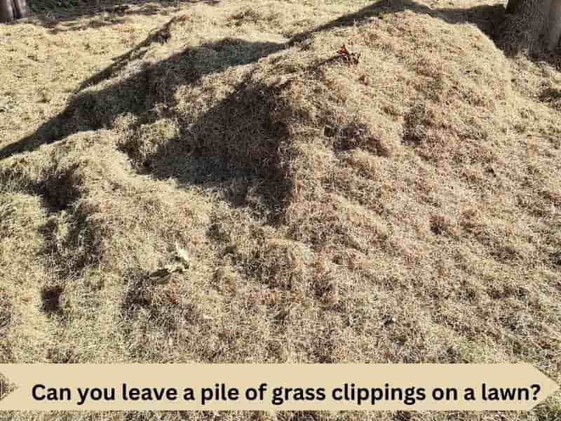 Can you leave a pile of grass clippings on a lawn?