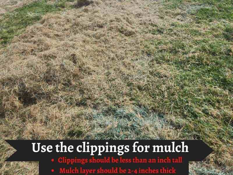 ways to use grass clippings for mulch
