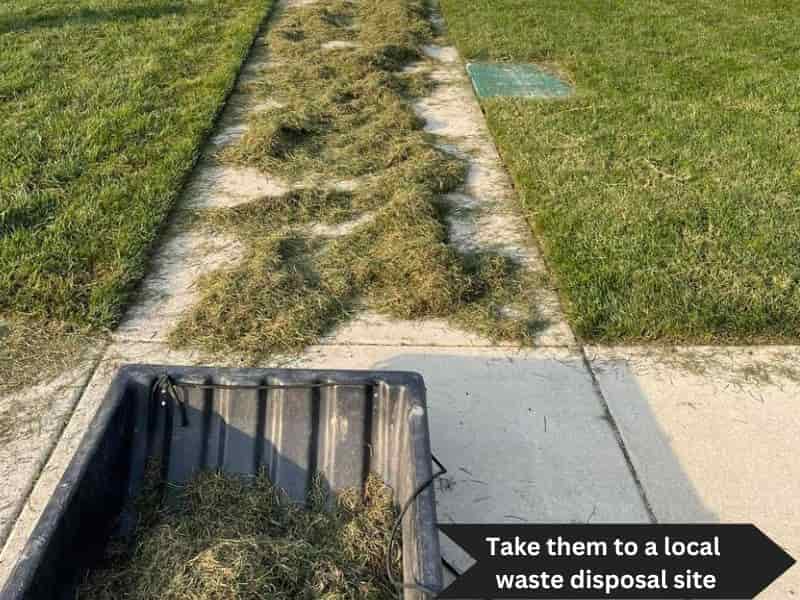 you can also take grass clipping to a local waste disposal site near you