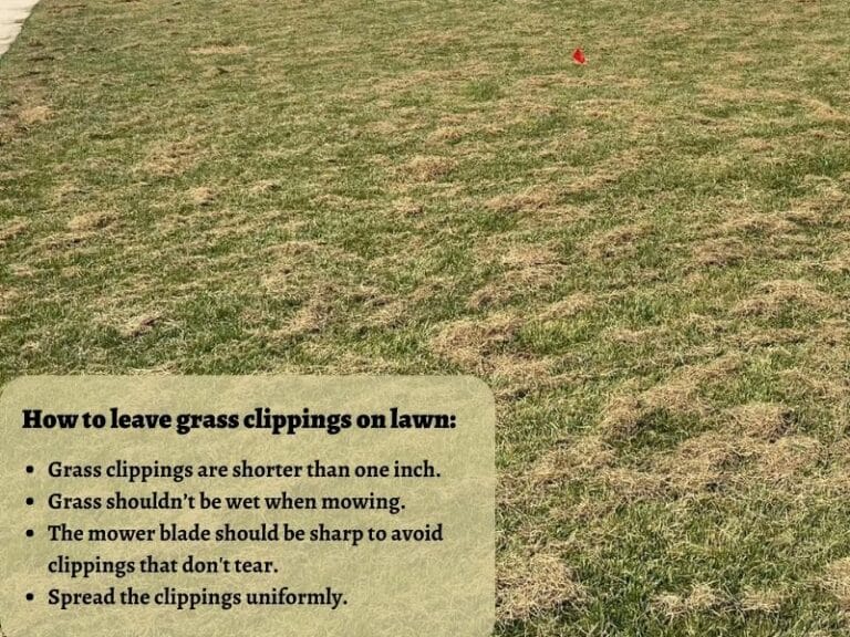 Where to Dump Grass Clippings?