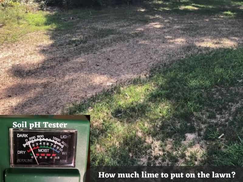 Can You Put Too Much Lime on Lawn? + How Much lime to put on the lawn
