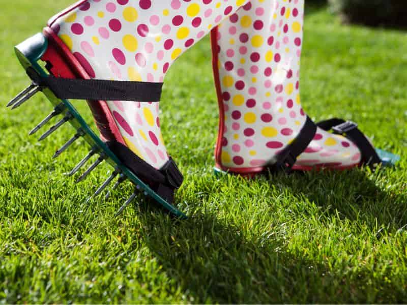 How often should I aerate my lawn?