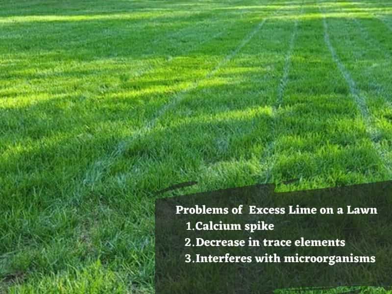Can You Put Too Much Lime on a Lawn?