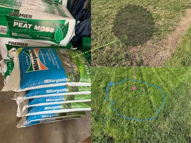 How to Top Dress and Overseed Your Lawn