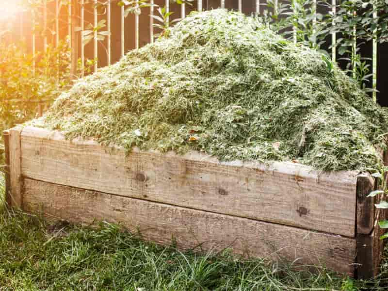 Smothering and composting grass after a roundup