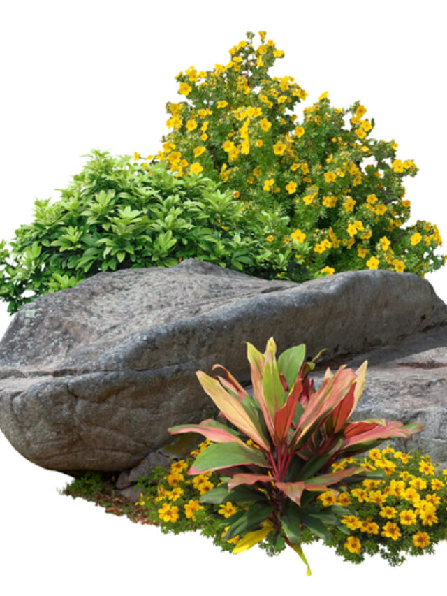 Landscaping feature flower with stone