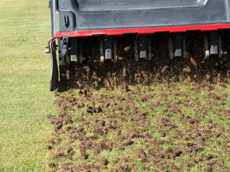 Aerate Your Lawn (Step by Step Procedure) why, when and how to