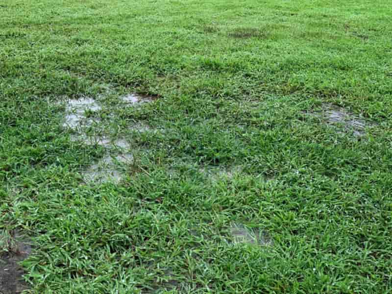 Clay soil fixes improvement and ammendements for your lawn, turfgrasses